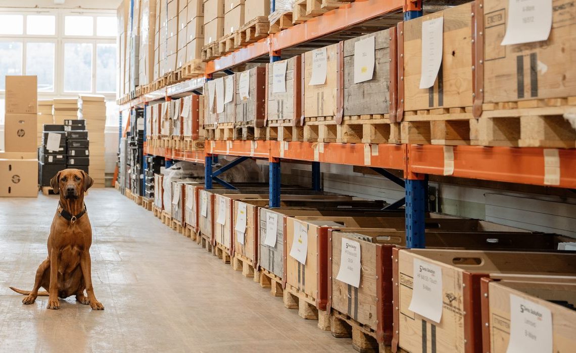 Labelled wooden crates with sorted used devices on a shelf, the office dog sits on the left