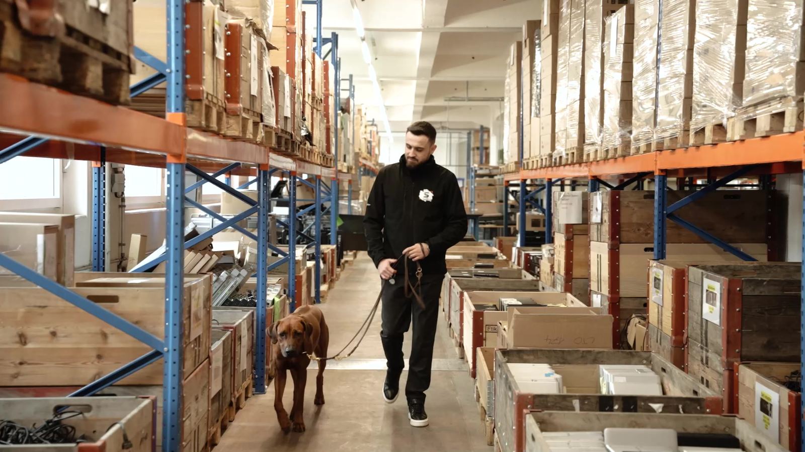 Un collaborateur traverse l’allée de l’entrepôt de Dottikon avec le chien du bureau