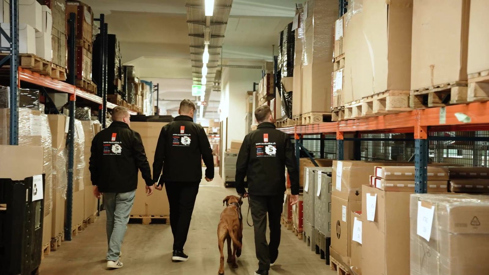 Trois collaborateurs et le chien du bureau lors d’une ronde dans le hall